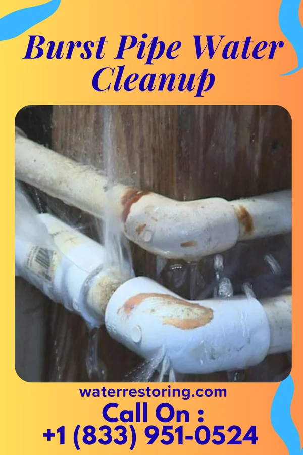 Burst Pipe Water Cleanup in Redfield, SD